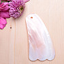 Gua Sha in Muschelflossenform