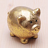 Golden glänzendes Sparschwein des Glücks